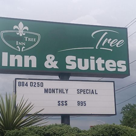 Tree Inn & Suites Albuquerque Buitenkant foto
